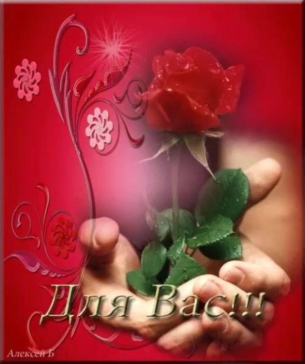 красивая открытка