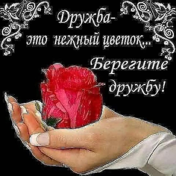 дружба дружбой