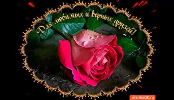 моему другу