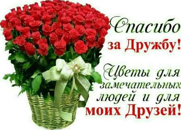 спасибо вам друзья