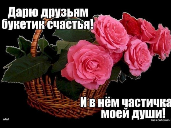 моему другу