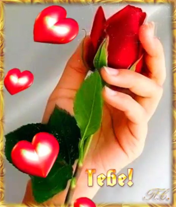 цветок сердце