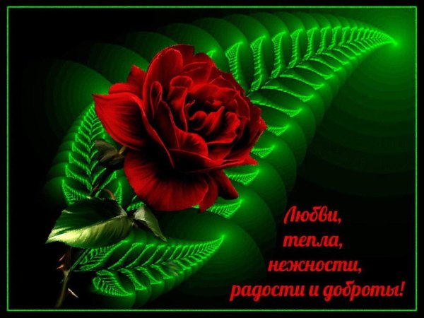 красивое пожелание