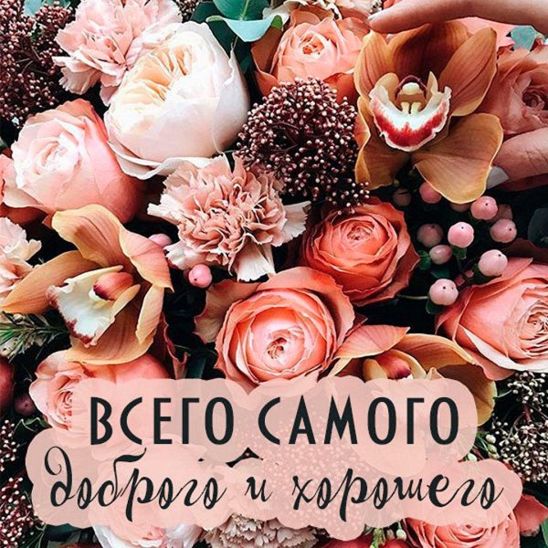 всего самого доброго и светлого