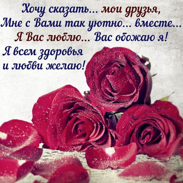 стихи про любовь в открытках