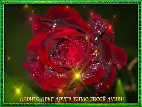 красивые открытки