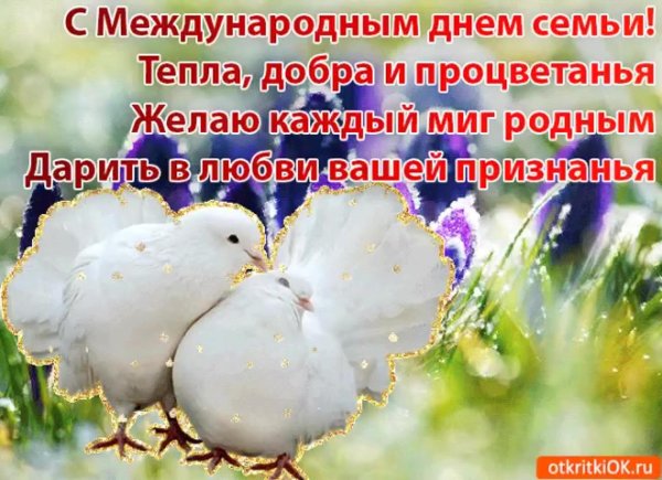 день семьи поздравление
