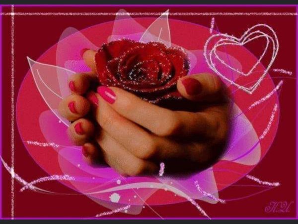 роза открытка