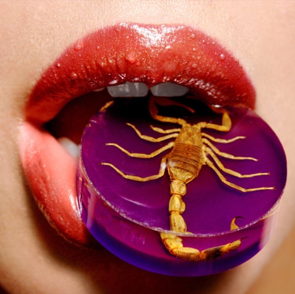 Девушка скорпион