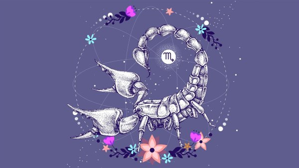 Девушка скорпион