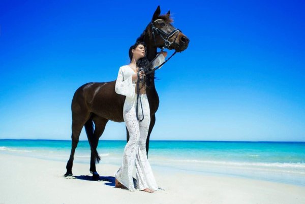 Девушка на лошади