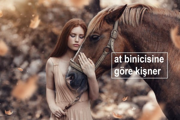 Девушка на лошади