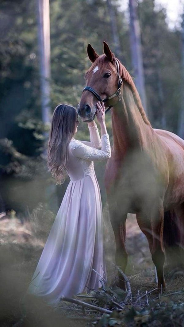 Девушка на лошади