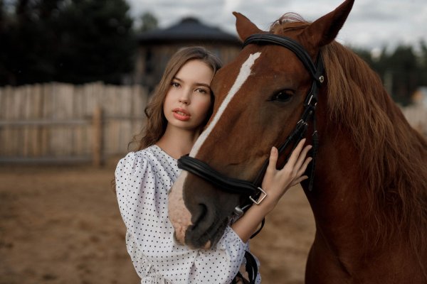 Девушка на лошади