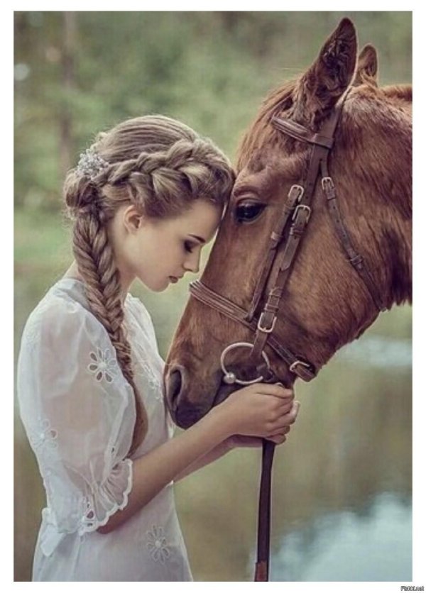 Девушка на лошади