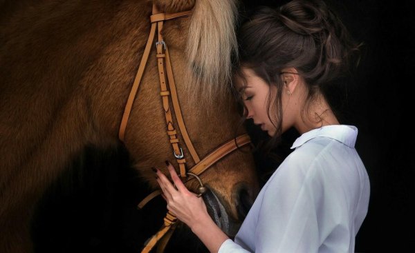 Девушка на лошади