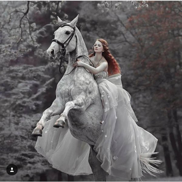 Девушка на лошади