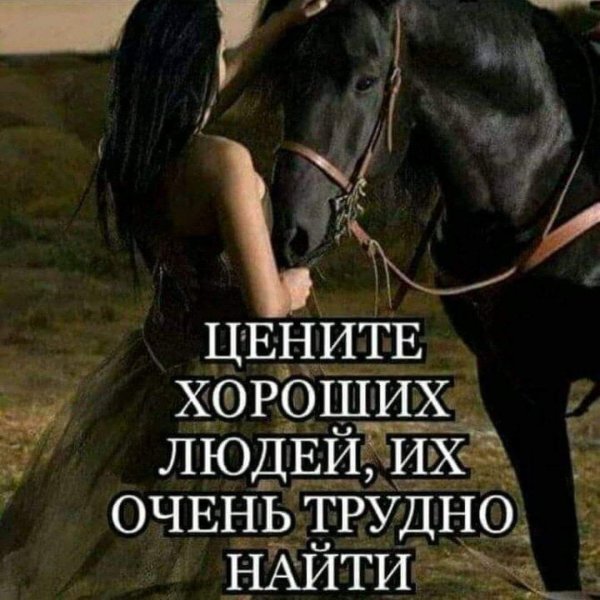 Девушка на лошади