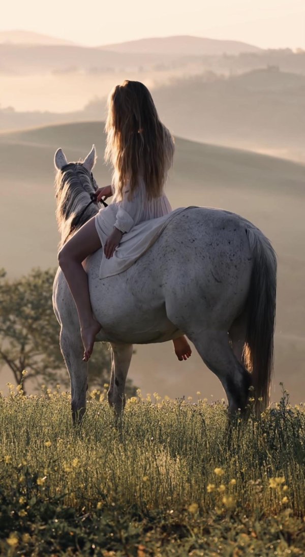 Девушка на лошади