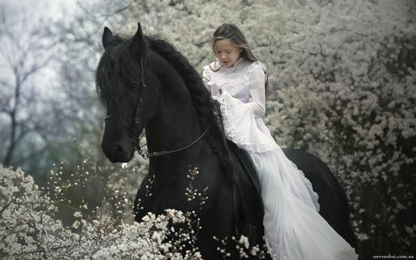 Девушка на лошади