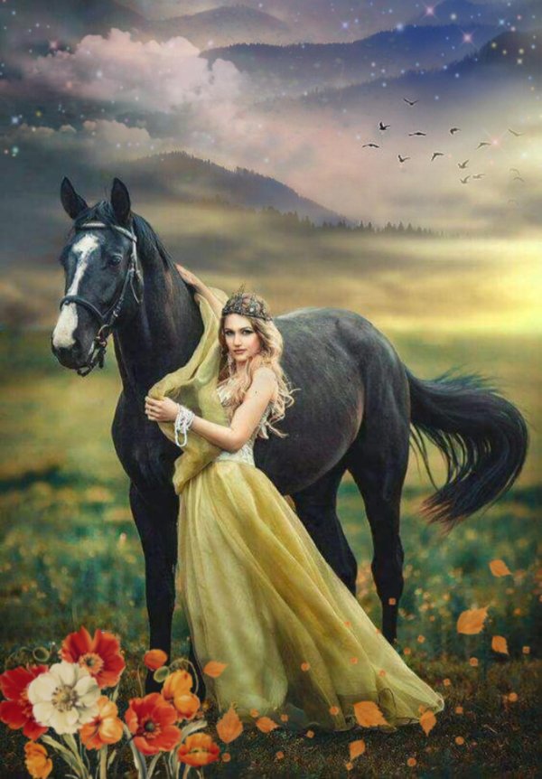 Девушка на лошади