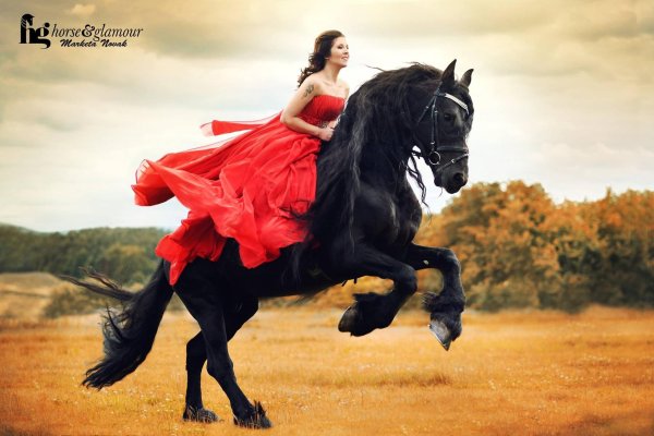 Девушка на лошади