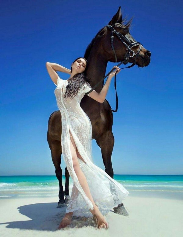 Девушка на лошади