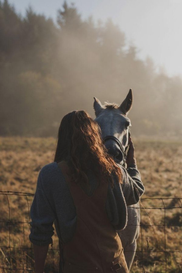 Девушка на лошади