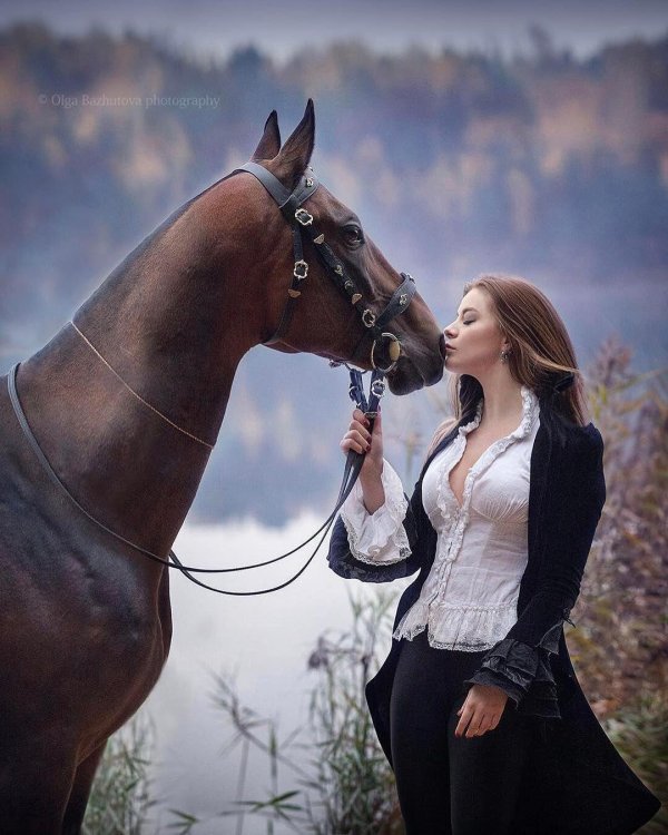 Девушка на лошади