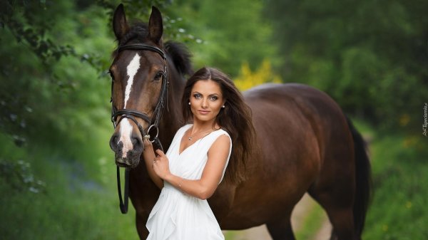 Девушка на лошади