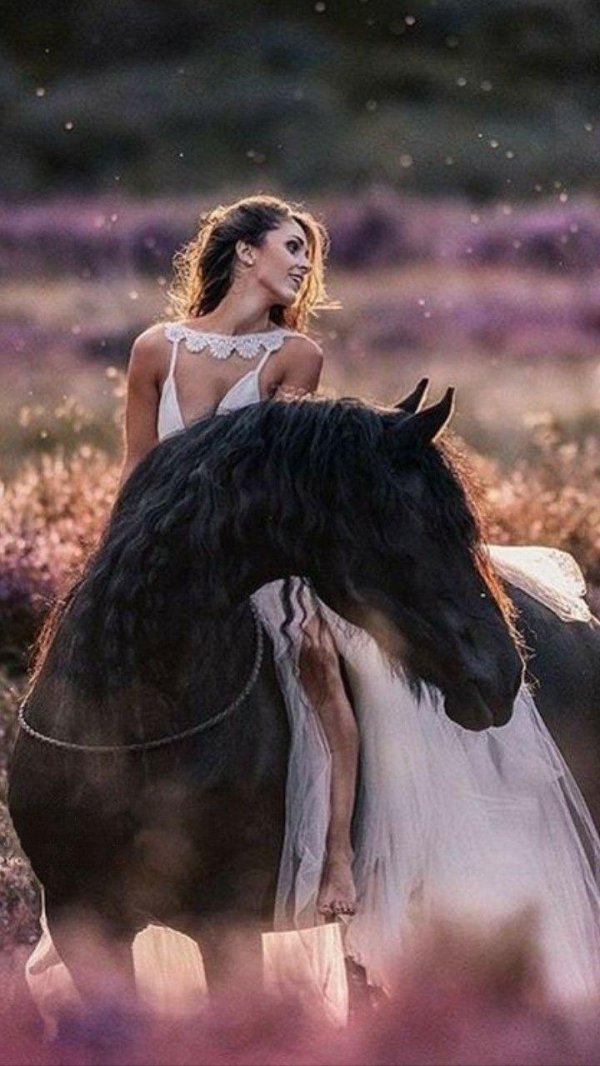 Девушка на лошади