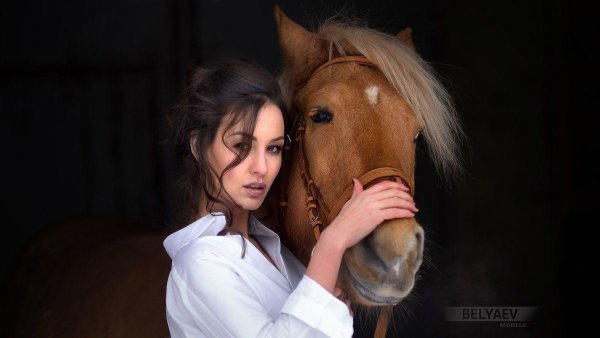 Девушка на лошади