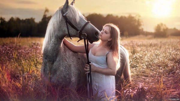 Девушка на лошади