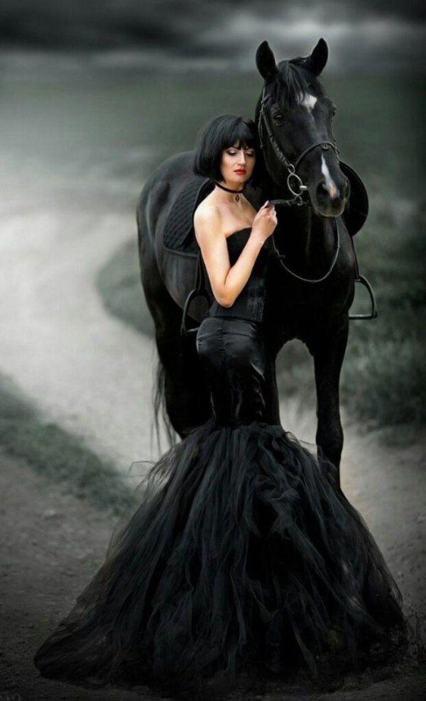 Девушка на лошади