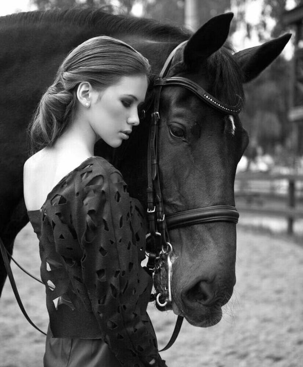 Девушка на лошади