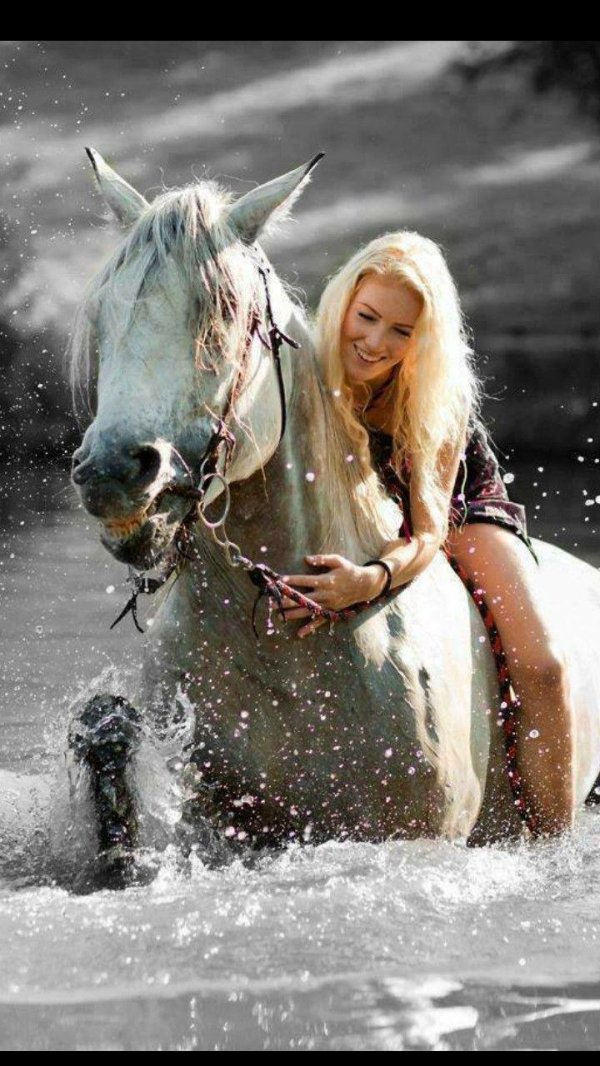 Девушка на лошади