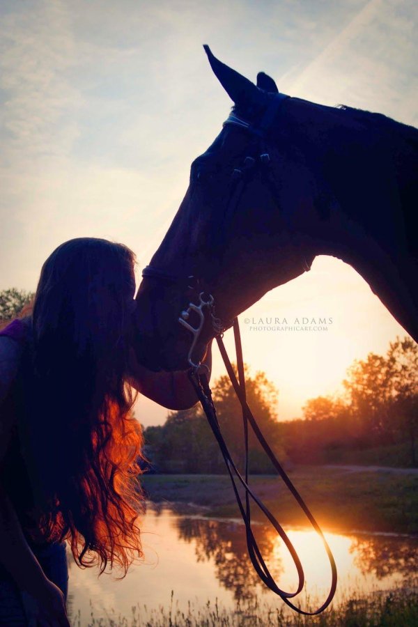 Девушка на лошади