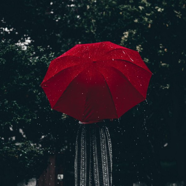 Девушка с зонтом