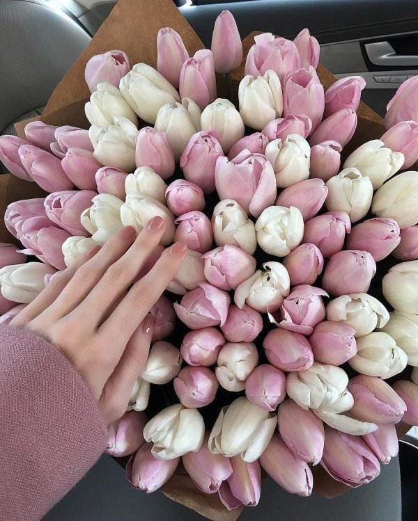 Девушка с тюльпанами