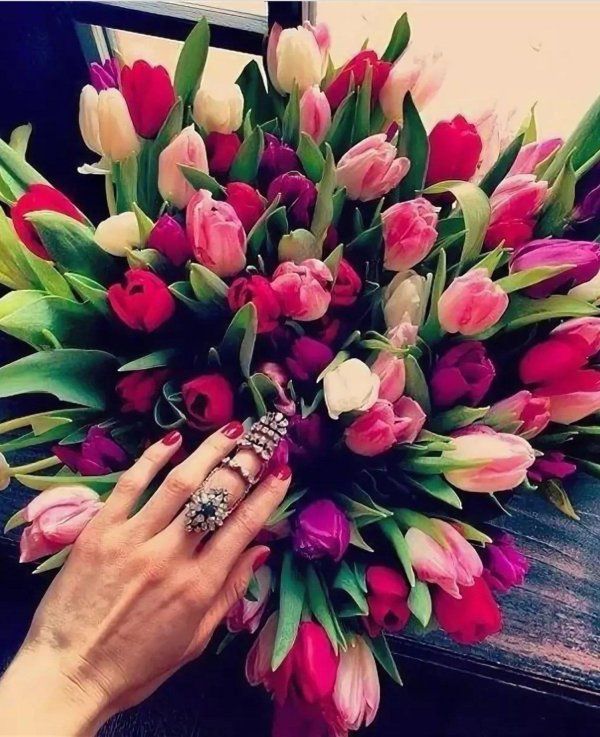 Девушка с тюльпанами