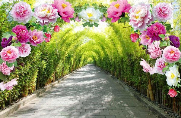 цветочные сады