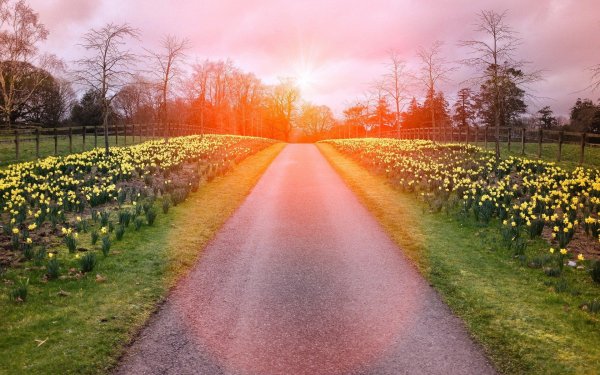 весенняя дорога