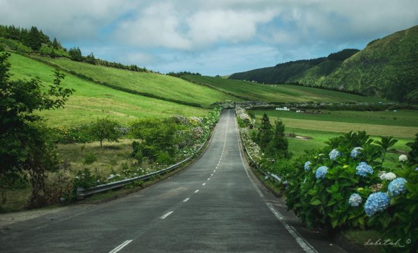 азорские острова португалия