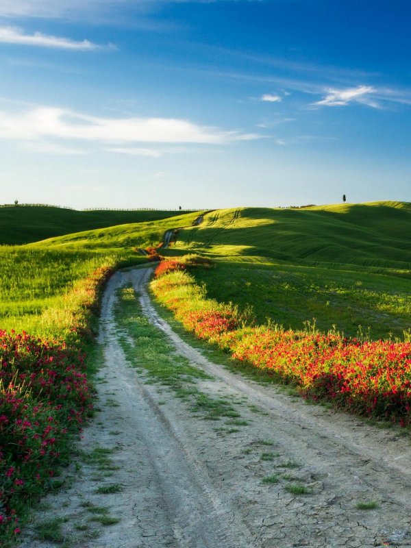 тоскана италия