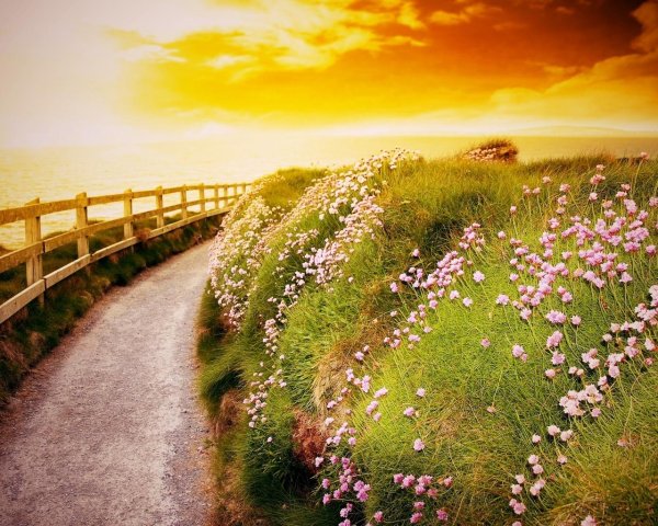 пейзажи летние