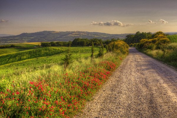 италия проселочная дорога