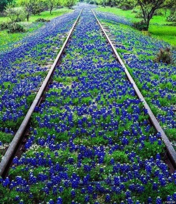 железнодорожные пути