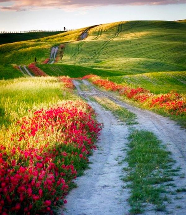 тоскана италия