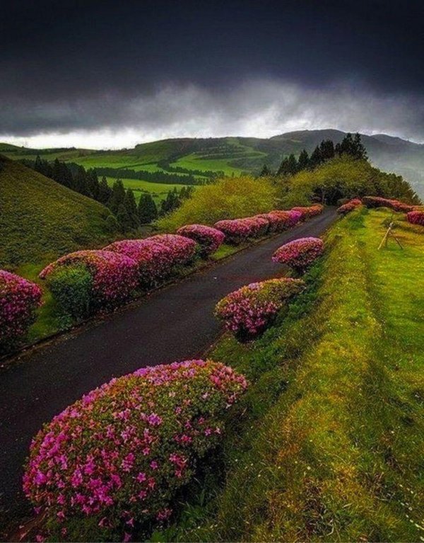 шотландия ландшафт