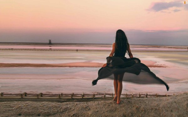 Девушка со спины у моря